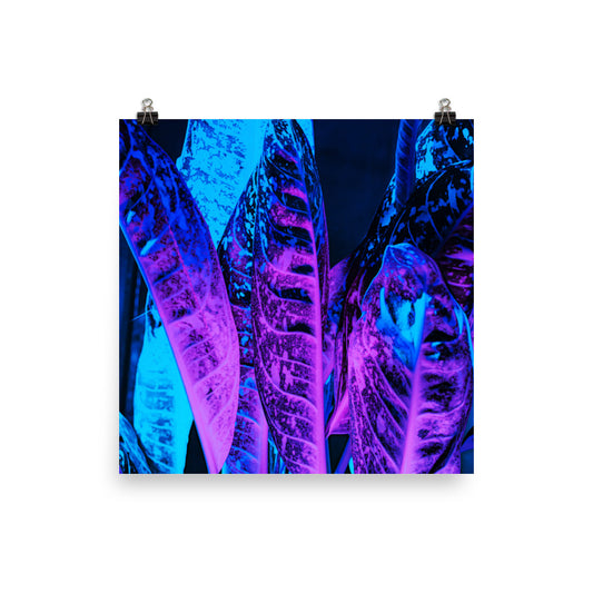 Vaporwave Neon Leaves Poster Wall Art Print